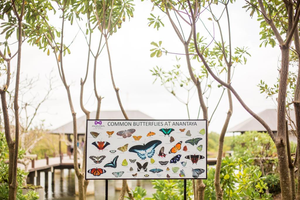 Anantaya Resort & Spa Chilaw Exterior foto
